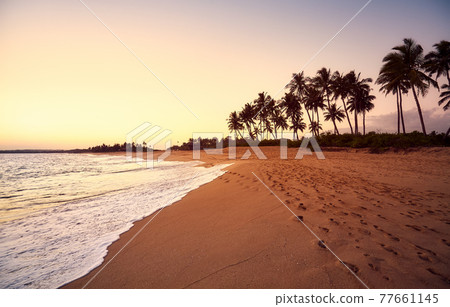 Tropical beach at with footprints in sand at sunset, color toning applied Tropical beach at with footprints in sand at sunset, color toning applied 77661145