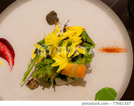 Beautifully presented salad Beautifully presented salad 77661387