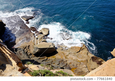 Sydney's most beautiful coastline Bondi to Coogee Coastal Walk Tasman Sea Sydney's most beautiful coastline Bondi to Coogee Coastal Walk Tasman Sea 77661840