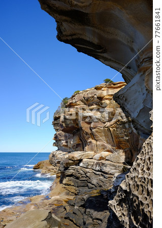 Sydney's most beautiful coastline Bondi to Coogee Coastal Walk Tasman Sea 77661841