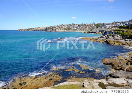 Bondi to Coogee Coastal Walk, Sydney's most beautiful coastline walkway 77661925