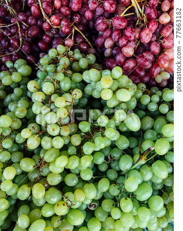 lots of sweet ripe grapes to eat as a background 77663182