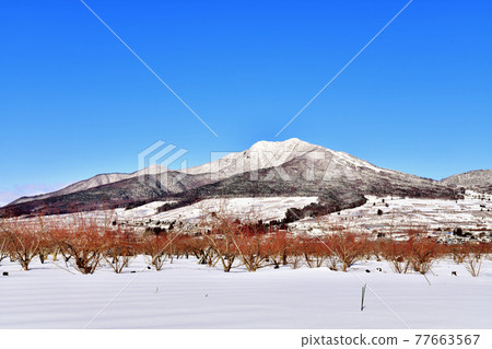 View toward Mt. Kosha from Yamanouchi Town, Nagano Prefecture (Yamanouchi Town, Nagano Prefecture) [2021.1] 77663567