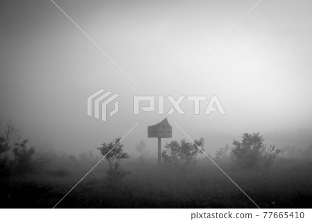 自然 風景 黑白的 77665410