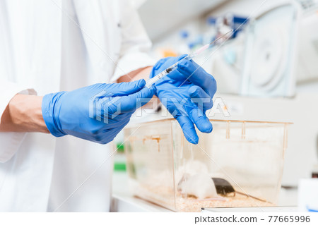 Female scientist hand using syringe 77665996