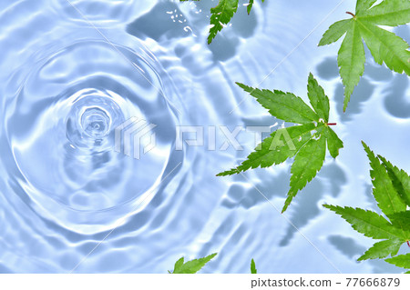 藍色秋葉和漂浮在水面上的漣漪 77666879