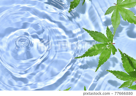 藍色秋葉和漂浮在水面上的漣漪 77666880