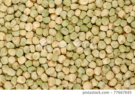 Snow pea seeds, background, from above. Also Chinese pea or pois mangetout, an edible-pod pea with flat pods and thin pod walls. Dried fruits of Pisum sativum used for sprouting. Backdrop. Food photo. Snow pea seeds, background, from above. Also Chinese pea or pois mangetout, an edible-pod pea with flat pods and thin pod walls. Dried fruits of Pisum sativum used for sprouting. Backdrop. Food photo. 77667695