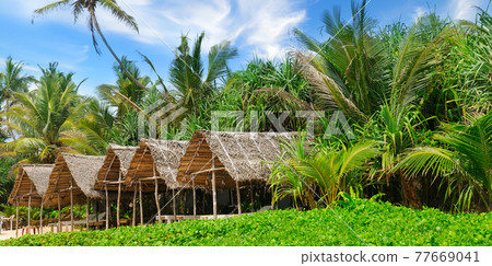 Beach bungalows set against a backdrop of lush tropical vegetation. Wide photo . Beach bungalows set against a backdrop of lush tropical vegetation. Wide photo . 77669041