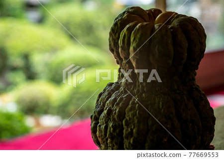 Anrakuji，夏天窗台用南瓜 77669553