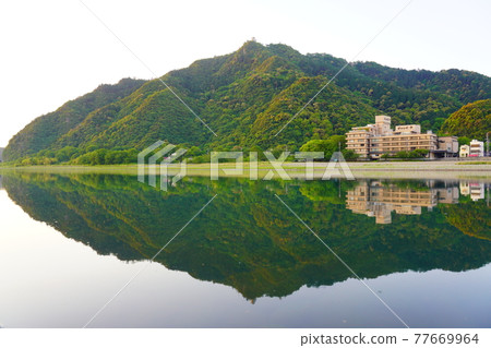 Mt. Kinka and Nagara River in the morning when Japanese Chinquapin flowers bloom 77669964