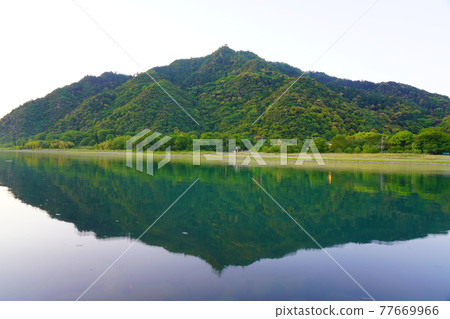 金華山和長良川的早晨,日本金桔花盛開 金華山和長良川的早晨,日本金桔花盛開 77669966