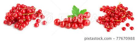 Red currant berries with leaf isolated on white background. Set or collection 77670988