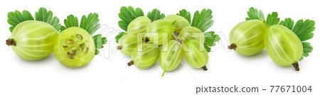 Green gooseberry isolated on white background. Set or collection 77671004