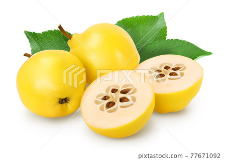 Fresh quince with half isolated on the white background with clipping path and full depth of field Fresh quince with half isolated on the white background with clipping path and full depth of field 77671092