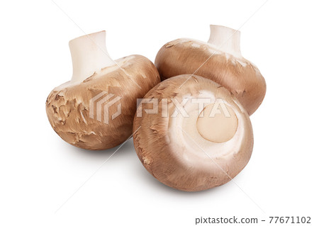 Royal Brown champignon isolated on white background with clipping path and full depth of field 77671102
