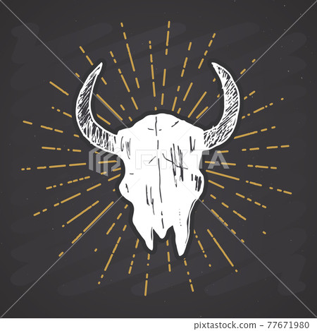 Bull or cow skull, animal head graphic print. T-shirt typography design. Vector illustration on chalkboard background 77671980