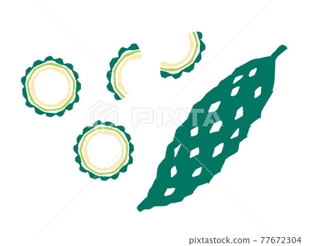 Bitter gourd retro illustration 77672304