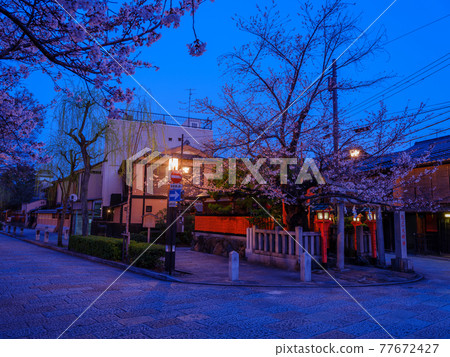 清晨的京都只園白川 77672427