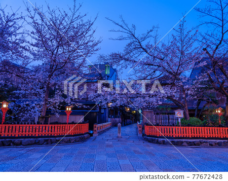 清晨的京都只園白川 77672428