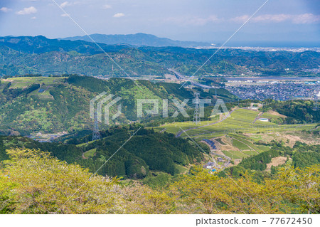 (Shizuoka Prefecture) Makinohara tea plantation overlooking from the summit of Awagadake (Shizuoka Prefecture) Makinohara tea plantation overlooking from the summit of Awagadake 77672450