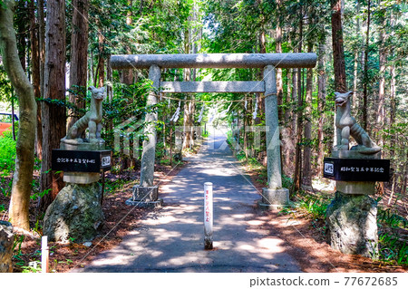 Kamayama Shrine Torii 77672685