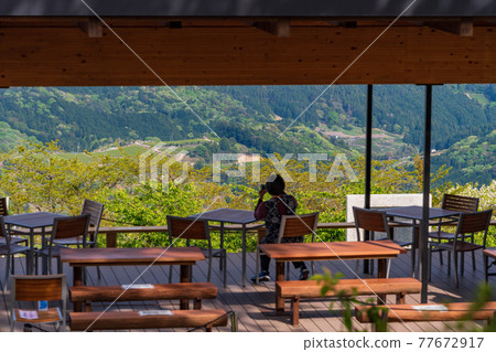 （靜岡縣）Awagatake 世界農業遺產茶草田梯田景觀 77672917
