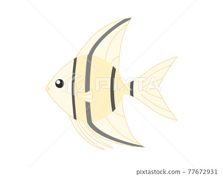 靈感來自神仙魚的插圖 77672931