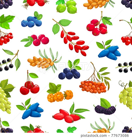 Garden, fores berries seamless pattern background 77673086
