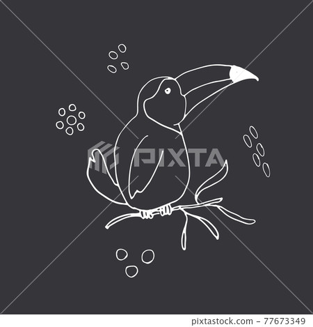 Cute Toucan Cartoon Animal baby and children print design Vector Illustration Cute Toucan Cartoon Animal baby and children print design Vector Illustration 77673349