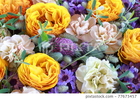 Flower arrangement of ranunculus, carnation and triforium. Yellow, white and purple flowers. Flower arrangement of ranunculus, carnation and triforium. Yellow, white and purple flowers. 77673457