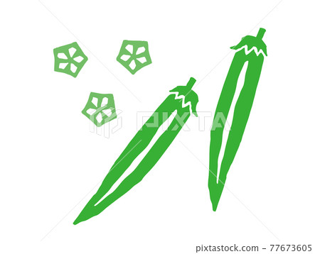 Okra retro illustration 77673605