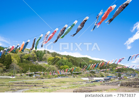 Road Station South Kiyosato 鯉魚旗遊天際 Road Station South Kiyosato 鯉魚旗遊天際 77673837