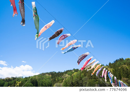 Carp streamer flying in the wind 77674096