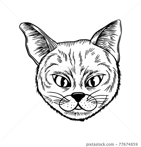 cat spotted striped head symmetrical sketch vector graphics black and white drawing cat spotted striped head symmetrical sketch vector graphics black and white drawing 77674859