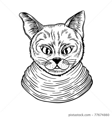 cat spotted striped head symmetrical sketch vector graphics black and white drawing cat spotted striped head symmetrical sketch vector graphics black and white drawing 77674860