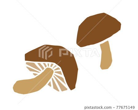 香菇復古插畫 77675149