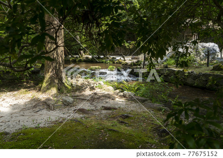 Ogawa if Kamigamo Shrine 77675152