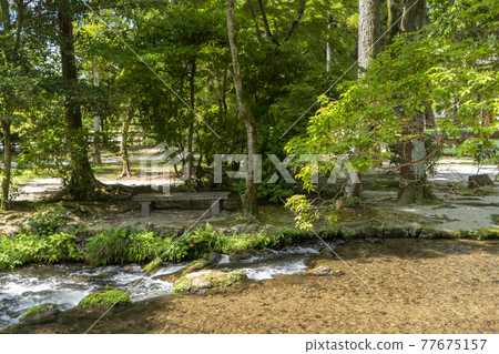 Ogawa if Kamigamo Shrine Ogawa if Kamigamo Shrine 77675157