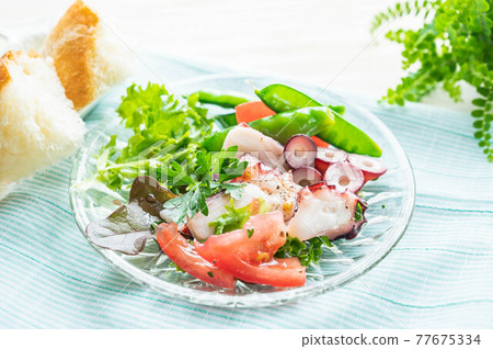 Octopus Carpaccio 77675334