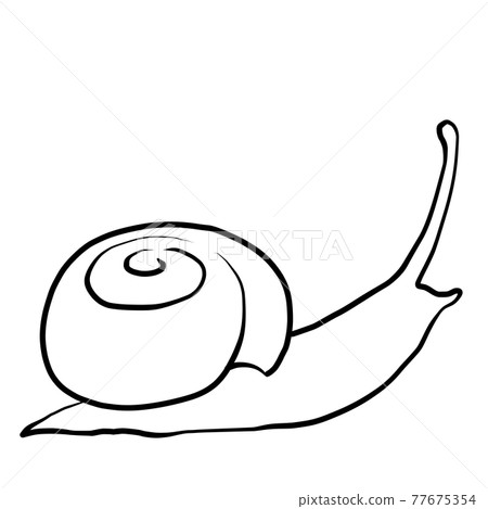 寫實蝸牛線描 77675354
