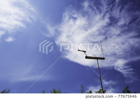 A sotley toward the blue sky A sotley toward the blue sky 77675646