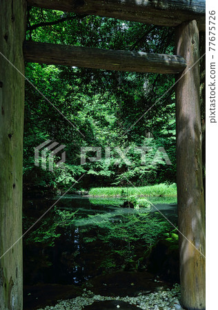 白山黑森寺摩斯寺 白山黑森寺摩斯寺 77675726