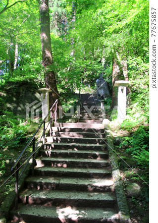 Stone steps / Yamadera (Yamagata Prefecture / Yamagata City) Stone steps / Yamadera (Yamagata Prefecture / Yamagata City) 77675857