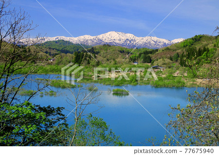 白川湖和飯豐山的沈水森林 山形縣飯豐町 照片素材 圖片 圖庫