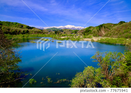 白川湖和飯豐山的沈水森林 山形縣飯豐町 照片素材 圖片 圖庫