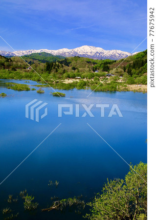 白川湖和飯豐山的沈水森林 山形縣飯豐町 照片素材 圖片 圖庫