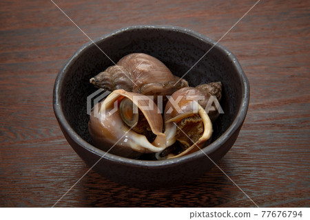 Boiled Hokkaido Ezobai shellfish 77676794