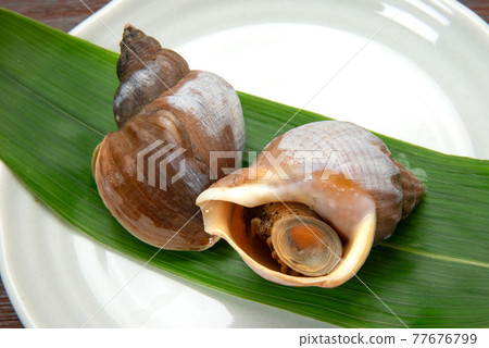 Boiled Hokkaido Ezobai shellfish 77676799