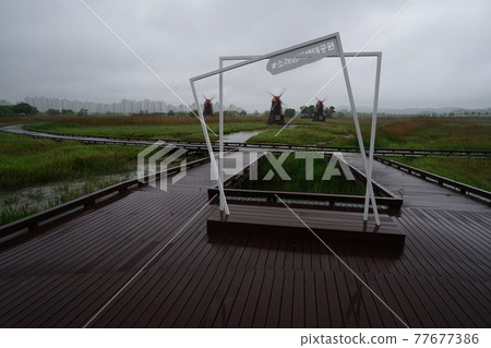 Incheon Metropolitan City. Sorae Wetland Park. Coastal area. Windmill. Walking trail Incheon Metropolitan City. Sorae Wetland Park. Coastal area. Windmill. Walking trail 77677386